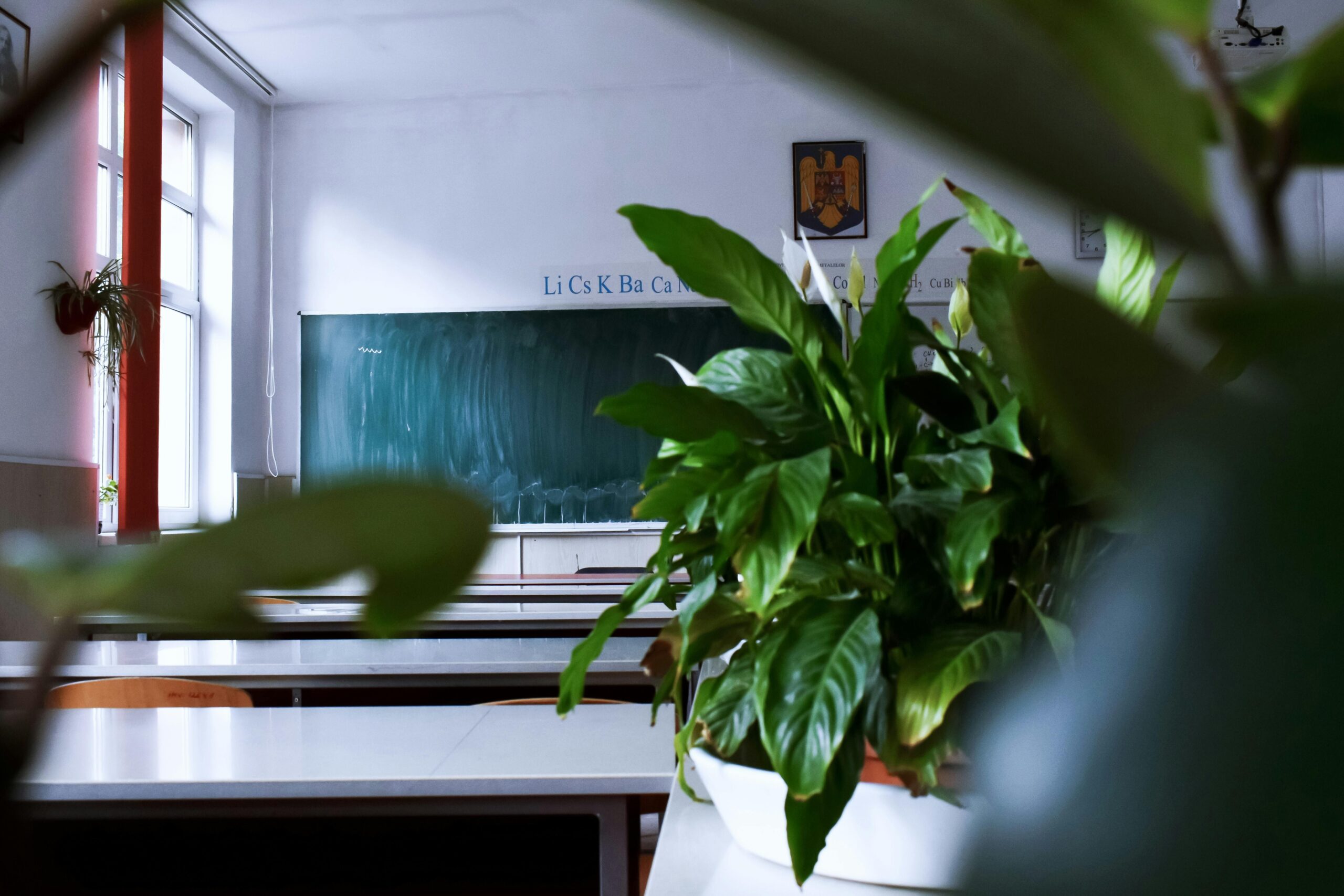 Green Energy Solutions for Schools